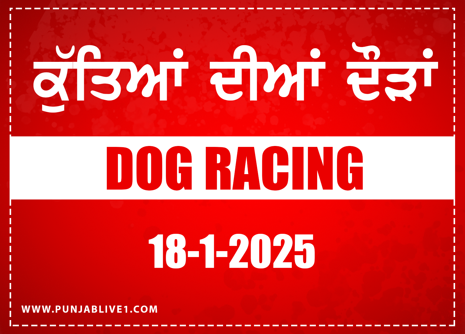 Dog Racing