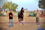 Photo Thumbnail