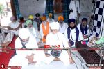 Photo 0064
