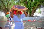 Photo 0071