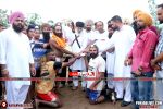 Photo 6244