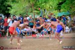 Photo 6877
