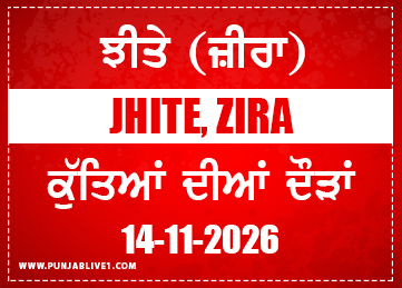 Jhite (Zira) Dog Racing